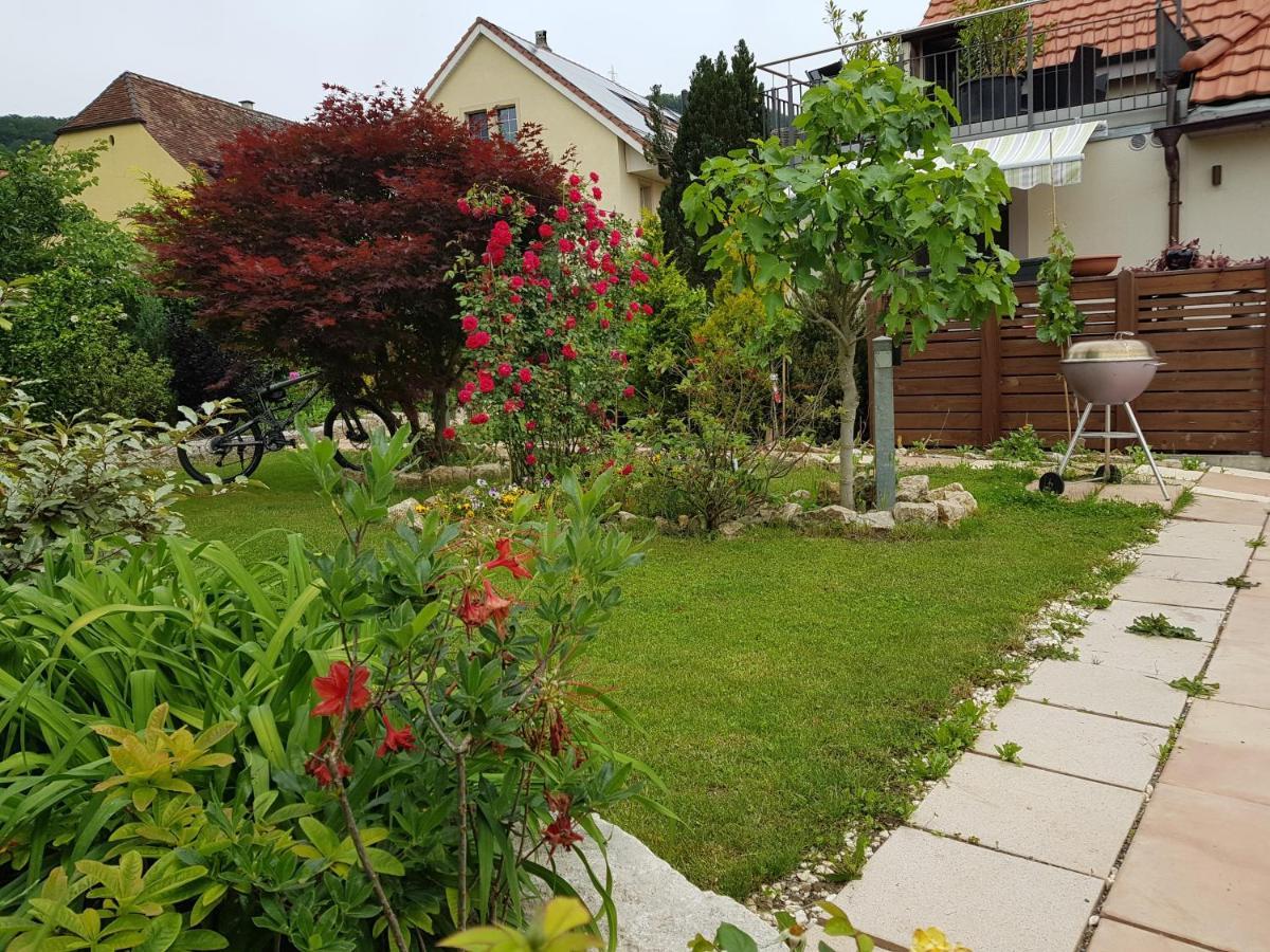 Bnb Comfort Guesthouse Olten - Lostorf Exterior foto