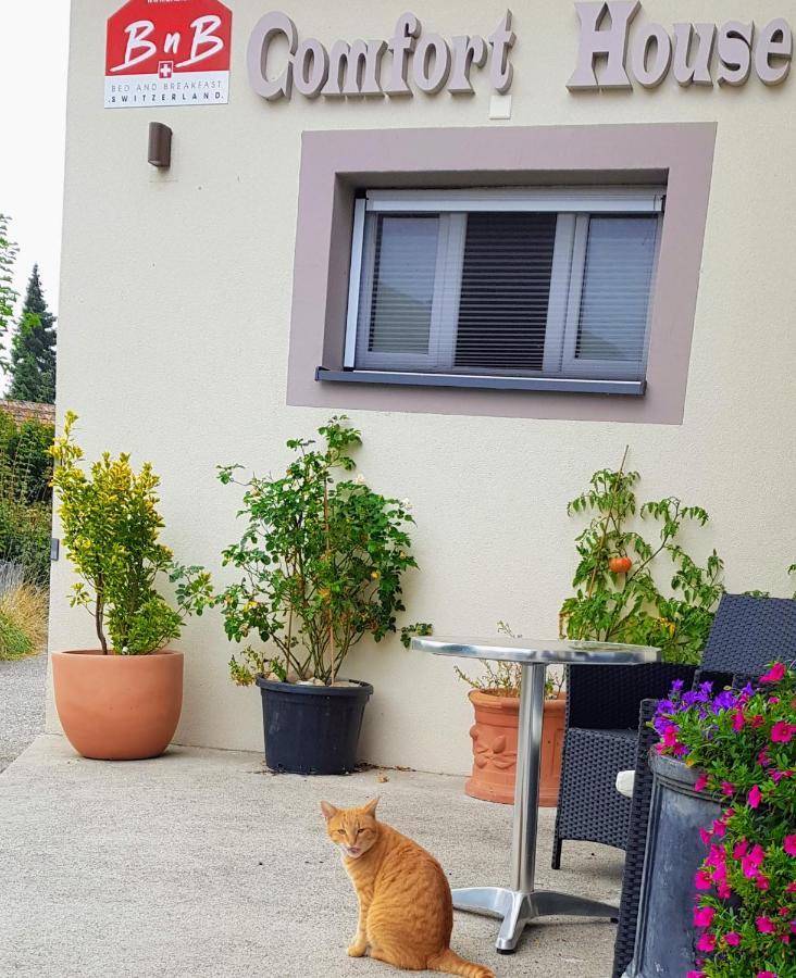 Bnb Comfort Guesthouse Olten - Lostorf Exterior foto
